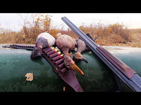 Видео: Охота на утку в Омской области. Это была славная охота!
