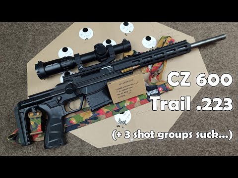 Видео: .223 CZ600 Trail: кучность и несколько моментов (еще раз) о том, почему группы из трех патронов н...