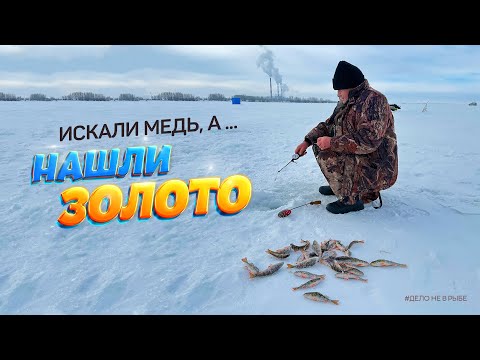 Видео: Ловля окуня зимой. Искали медь, а нашли золото. Рыбалка на Ириклинском водохранилище. Мини-фильм