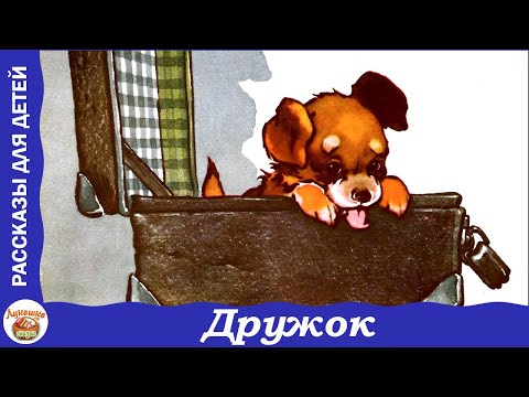 Видео: Дружок. Рассказ Николая Носова