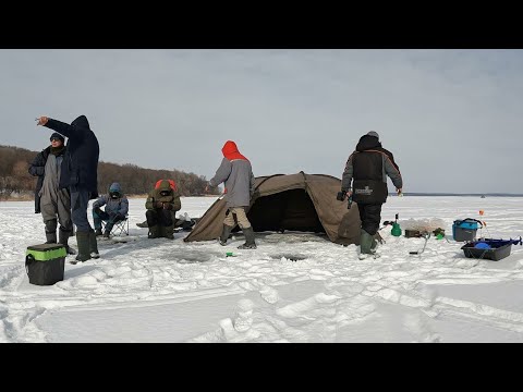Видео: ПЕЧЕНЕГИ 2025!!! Живём в ПАЛАТКАХ! День Рождения, Друзья и РЫБАЛКА на любимом водохранилище...