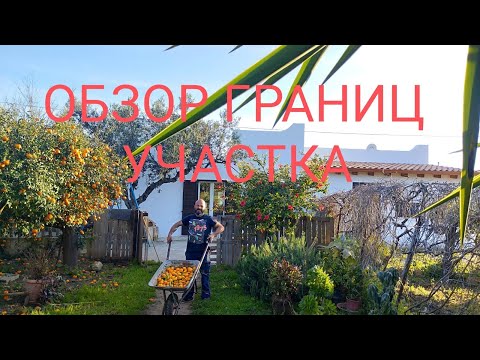 Видео: 68.  ОБЗОР границ  Апельсинового ХУТОРА.  Обрезка деревьев в марте.