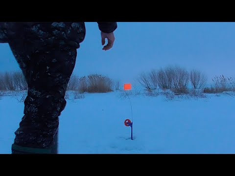 Видео: Расставил ЖЕРЛИЦЫ в КОРЯГАХ, и НЕ ПРОГАДАЛ!! Вся ЩУКА ЗДЕСЬ!! Рыбалка на ЖЕРЛИЦЫ!!