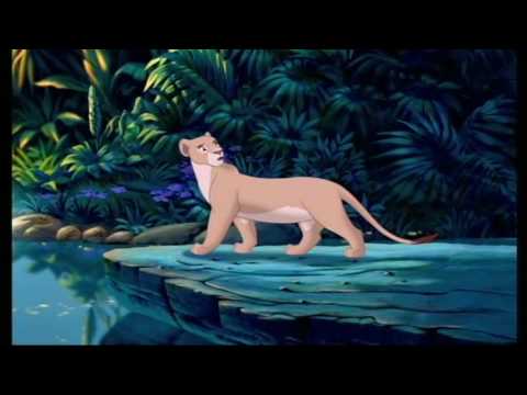 Видео: симба и нала