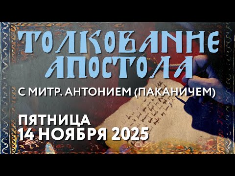 Видео: Пятница, 14 ноября 2025 года. Толкование Апостола с митр. Антонием (Паканичем).