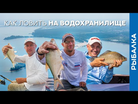 Видео: От выбора МЕСТА до НАСАДКИ: как ловить НА ВОДОХРАНИЛИЩЕ