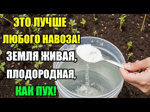 Видео: ЗЕМЛЯ СТАНЕТ ПУШИСТОЙ И ЖИВОЙ! ПРОСТОЙ СЕКРЕТ БЕЗ ЗАТРАТ!