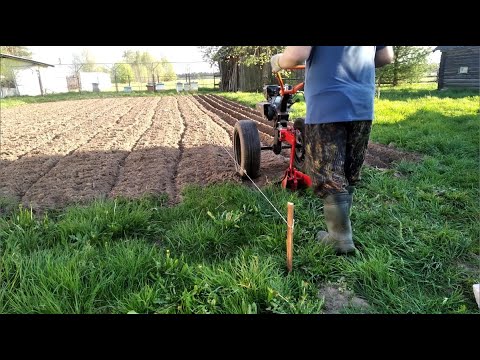 Видео: Огород - Посадка картошки новым способом