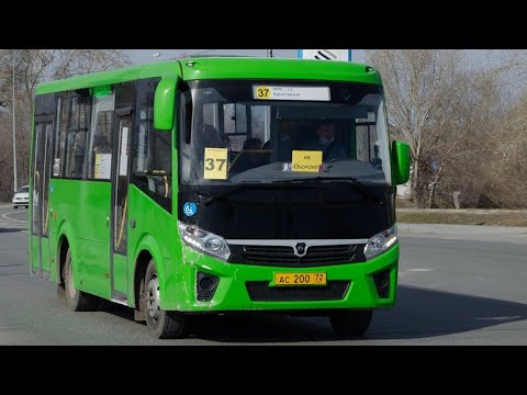 Видео: ПАЗ-320435-04 "Vector Next" || АС 200 72 || 37 маршрут || г. Тюмень