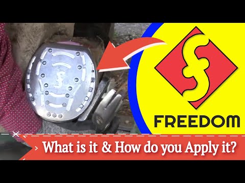 Видео: Обзор применения Freedom Shoe