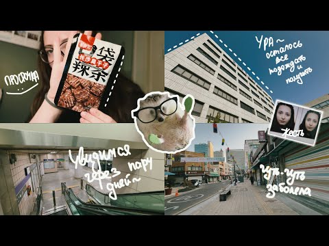 Видео: KOREA VLOG DIARY|моя обычная жизнь в Корее/была в имиграшке/покупка/ужасное фото на ID|19-23.02.2025