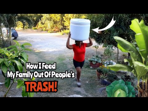 Видео: Как я выращиваю тонны еды, используя старые переработанные ♻️ контейнеры / Экономлю ТЫСЯЧИ на сче...