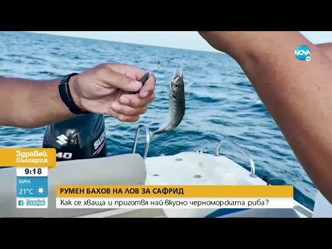 Видео: Как се хваща и приготвя най-вкусно сафрид - Здравей, България (11.08.2022)