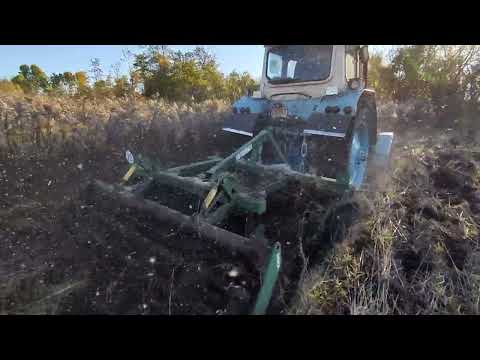 Видео: ЮМЗ 6 РОЗРИВАЄ ЦІЛИНУ Робота дисковою бороною ДАН 2 1