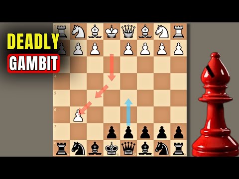 Видео: Сюрприз Современный Гамбит, чтобы уничтожить каждый дебют 👁️👁️