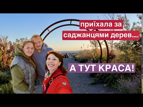 Видео: Приїхала за саджанцями плодових дерев…а тут краса! Що  я не знала за хурму🤦🏻‍♀️