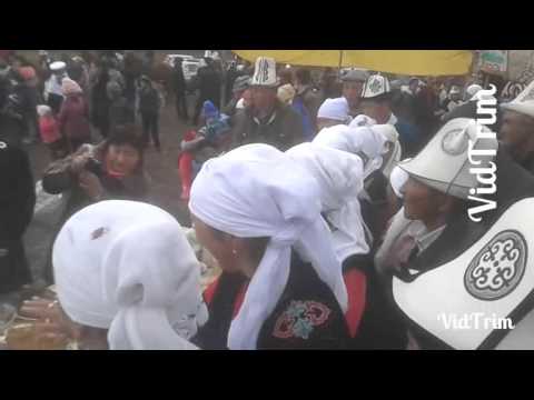 Видео: Алай, жошолу-даам татуу