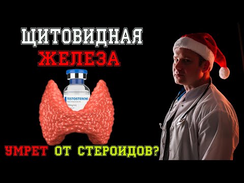 Видео: Щитовидная железа уничтожит твой курс тестостерона