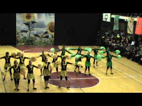 Видео: черлидинг г.Никополь 22 школа