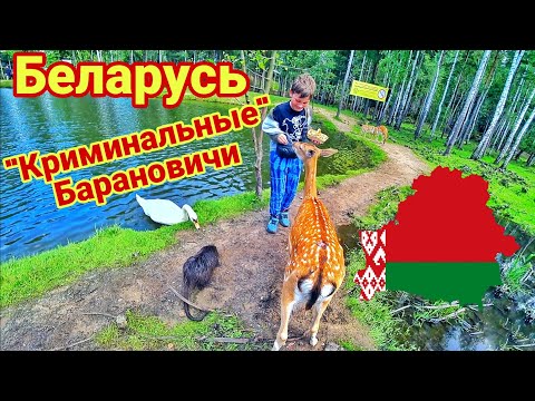 Видео: Беларусь. "Криминальные" Барановичи. Место гибели летчиков. Зоопарк Диприз - добрые эмоции!