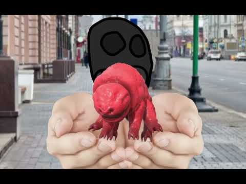 Видео: Чат Типыча против Vita Carnis@typical