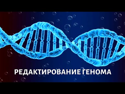 Видео: Геномное редактирование. Вопросы выживания