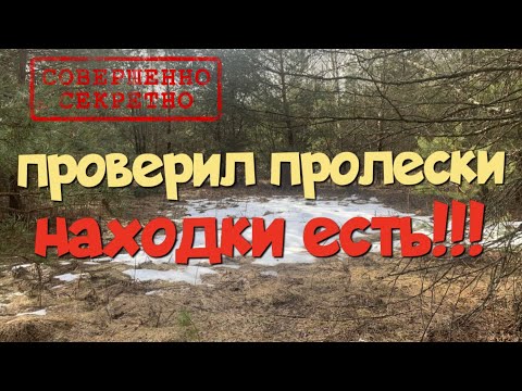 Видео: №198 Проверил пролески, находки есть. Поиск старины с Эквинокс 800.