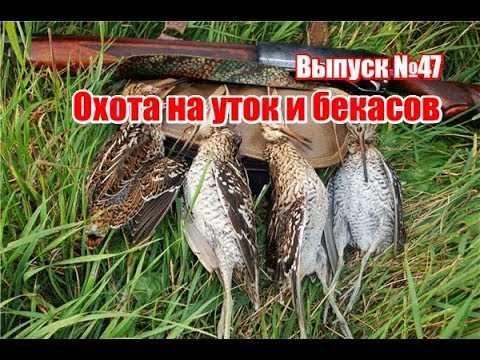 Видео: Охота на уток и бекасов | Выпуск №47 (UKR)