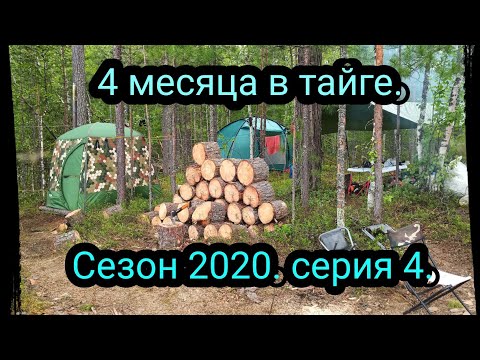 Видео: 4 месяца в тайге. Сезон 2020. Серия 4. Опять ЧП, Беда)))