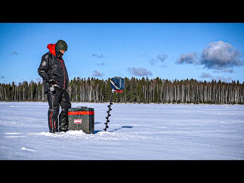 Видео: МЫ ОЧЕНЬ ЖДАЛИ ЭТУ РЫБАЛКУ. ДВА ДНЯ НА ВИБЫ И БАЛАНСИРЫ. ОСТАВИЛИ ЖЕРЛИЦЫ НА НОЧЬ БЕЗ ПРИСМОТРА.