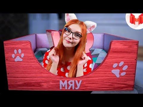 Видео: Кошачьи будни (VR) РЕАКЦИЯ НА Mr. Marmok  МАРМОКА