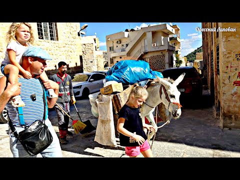 Видео: Мардин — загадочный древний город Турции в современном мире. Липован Турция 2025