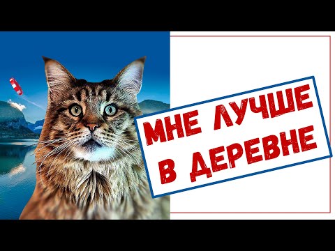 Видео: Город или село. Где дом, а где дача