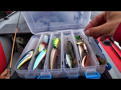 Видео: Поиск приманки на жирного окуня. Ратлин. Воблер. Вертушка. Тейл Спиннер. Силикон