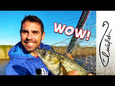 Видео: Ловля КРУПНОЙ КЕФАЛЫ с помощью РЫБОЛОВНЫХ ВЕСОВ