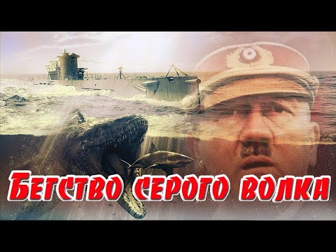Видео: Бегство серого волка . Новая редакция