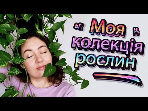 Видео: моя колекція кімнатних рослин 2022