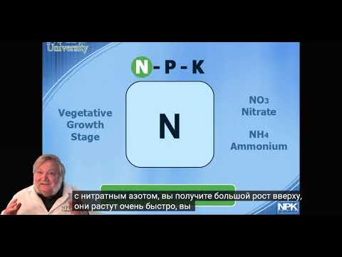 Видео: Харли Смит, все о минеральном питании растений