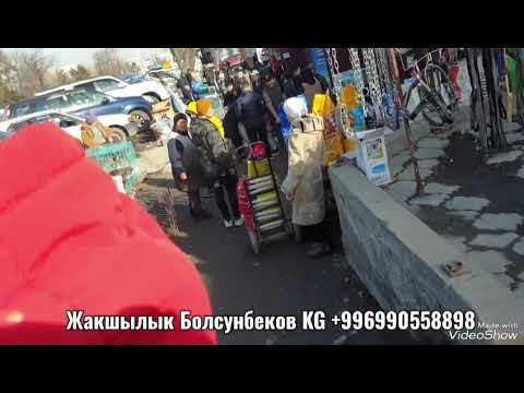 Видео: Бишкек ит базар,собачий рынок. 🇰🇬👍