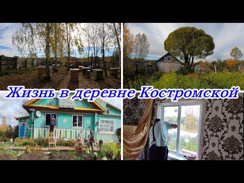 Видео: ЖИЗНЬ В ДЕРЕВНЕ В КОСТРОМСКОЙ, НОВЫЕ ОКНА, ВСЁ ЗАМЕРЗЛО-ПРИБИРАЕМ