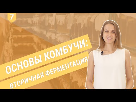 Видео: Основы комбучи: вторичная ферментация