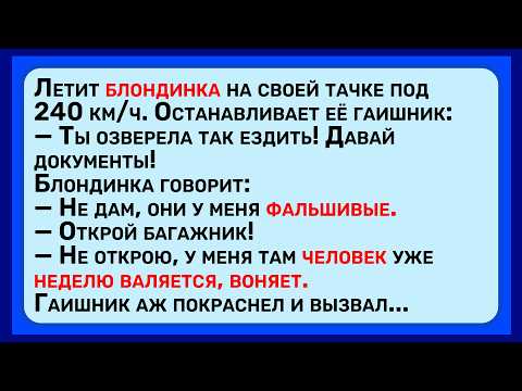 Видео: Как Блондинка Развела Мента! Сборник Лучших Анекдотов Для Супер Настроения!