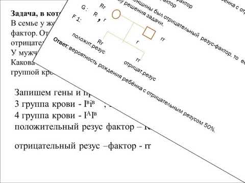 Видео: РЕШЕНИЕ ЗАДАЧ НА ГРУППЫ КРОВИ И РЕЗУС - ФАКТОР