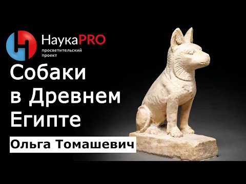 Видео: Собаки в Древнем Египте – Ольга Томашевич | Лекции по египтологии | Научпоп