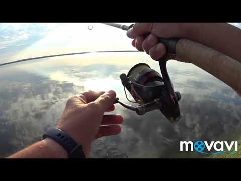 Видео: Киевское водохранилище. Рыбалка на фидер. Часть вторая.