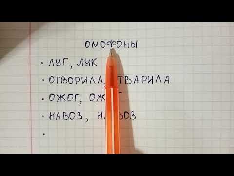 Видео: Что такое омофоны и чем они отличаются от омографов и омонимов - объясняю на примерах