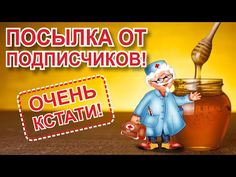 Видео: Не успели мы заболеть...