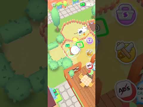 Видео: 29 июля 2025 г. Симба Кафе Часть 1