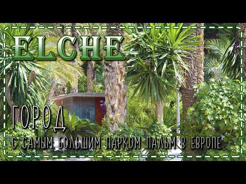 Видео: Аликанте, Испания, 2019, Vlog #6 - Эльче, город пальм