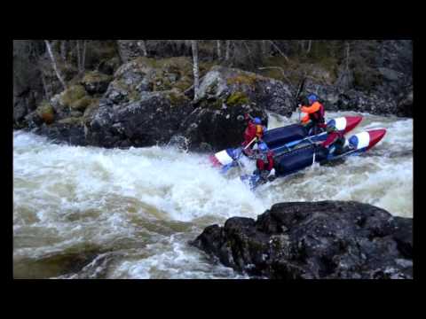 Видео: кутса